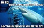 Click image for larger version

Name:	helpful-shark.jpg
Views:	114
Size:	67.0 KB
ID:	12564